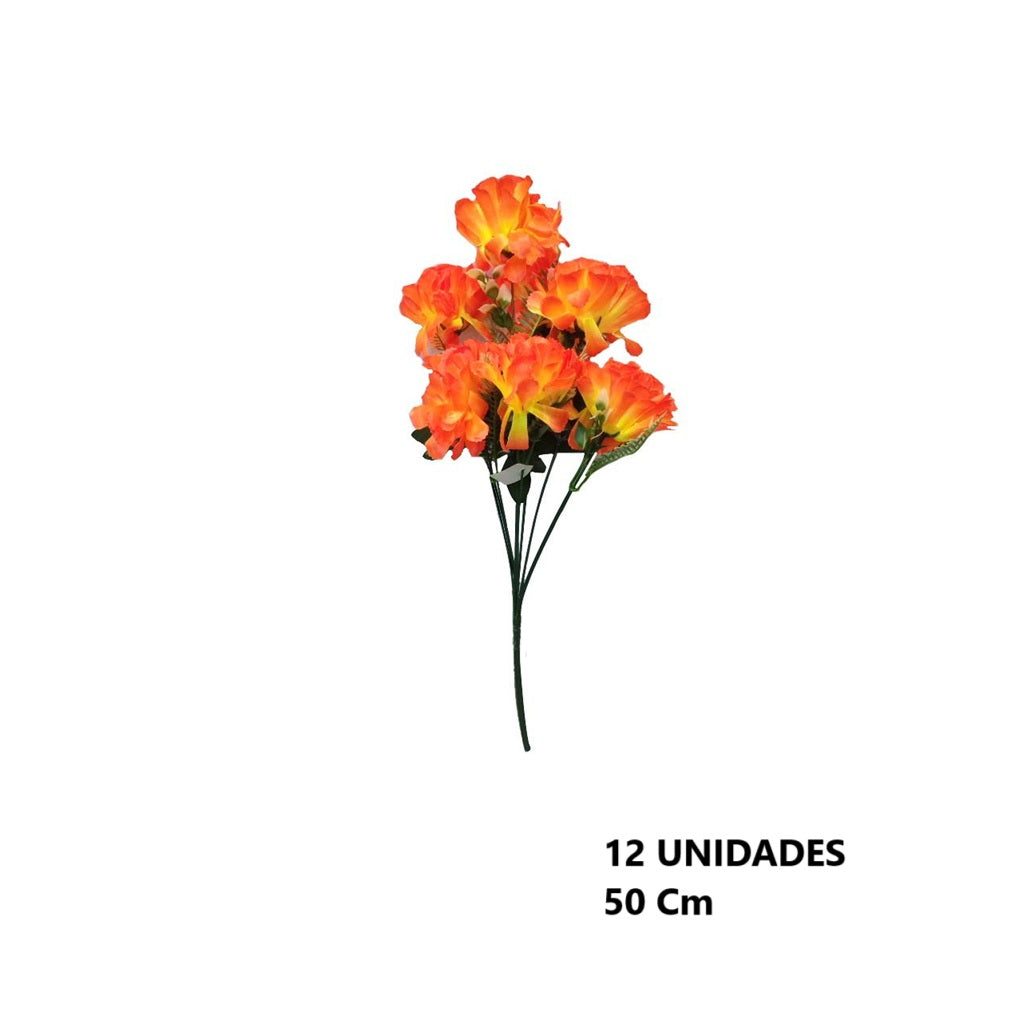 Casa Andes