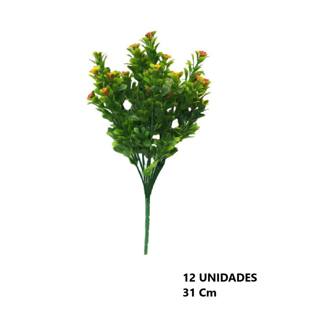 Casa Andes
