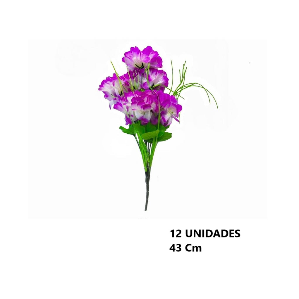 Casa Andes