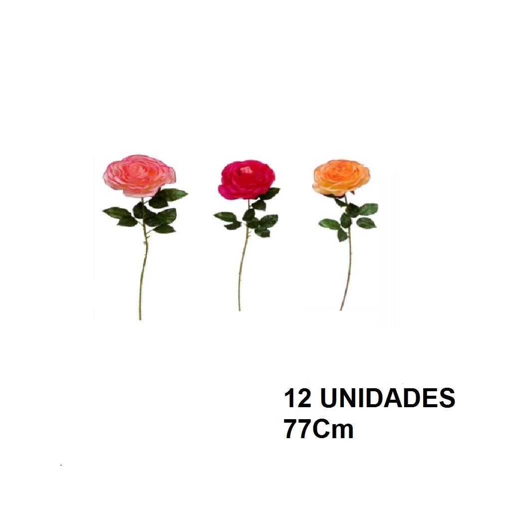 Casa Andes