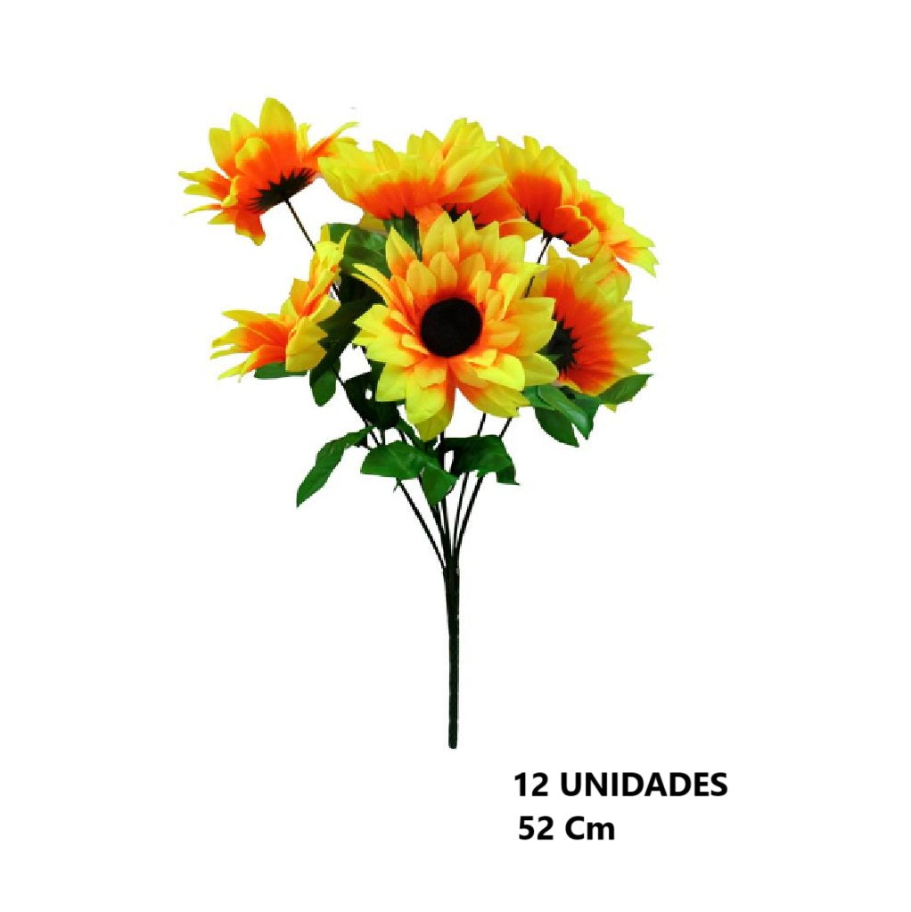 Casa Andes