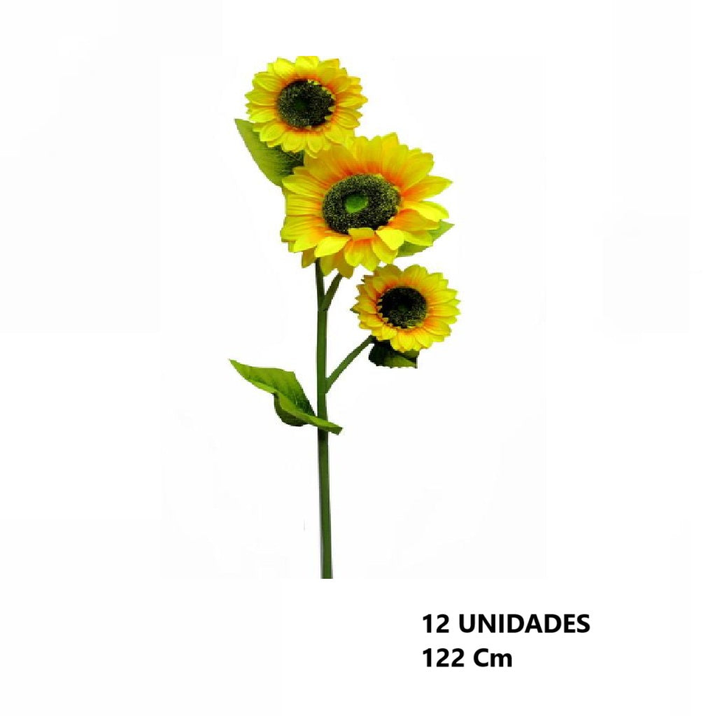 Casa Andes