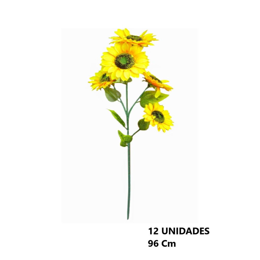 Casa Andes