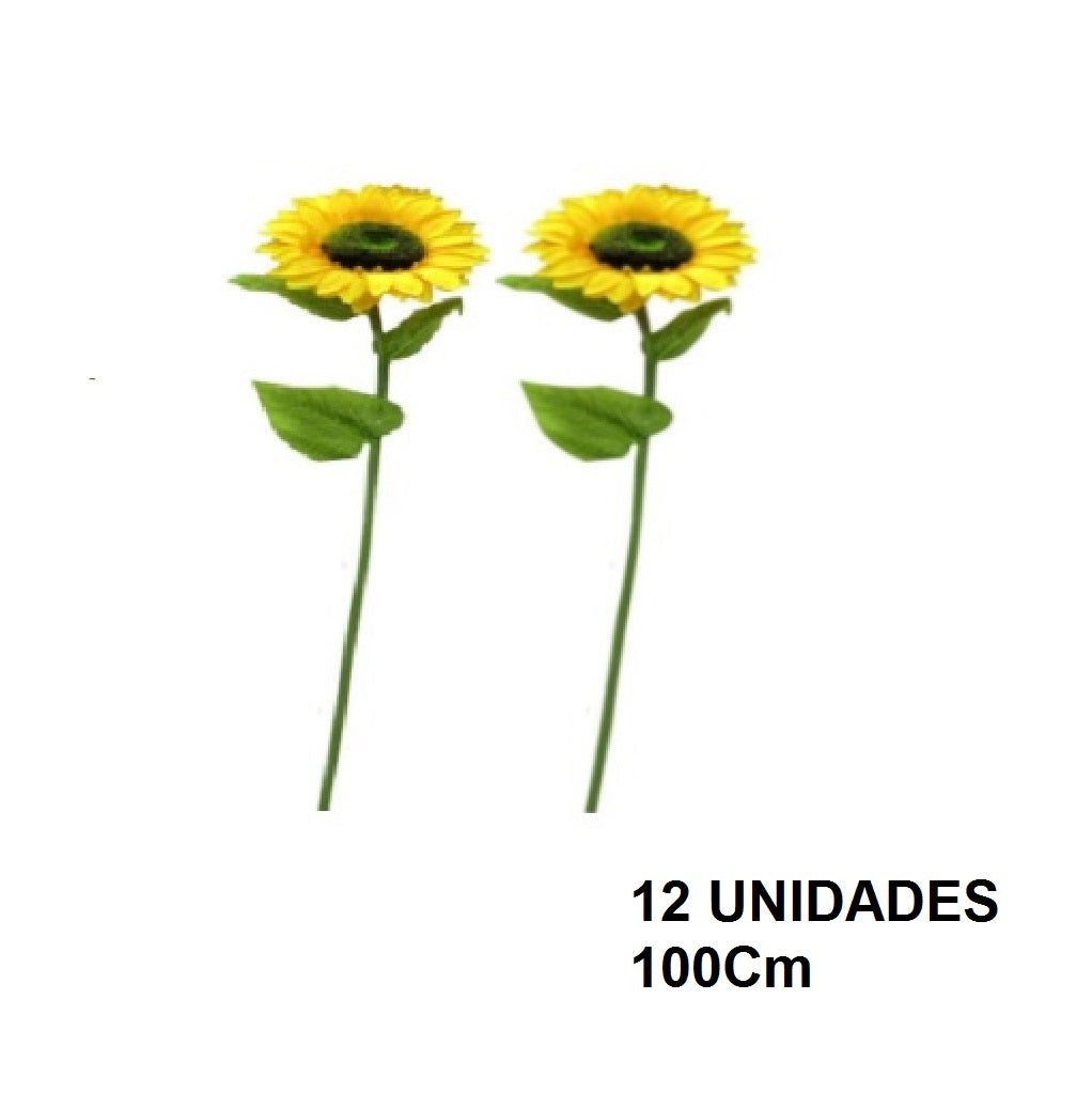 Casa Andes