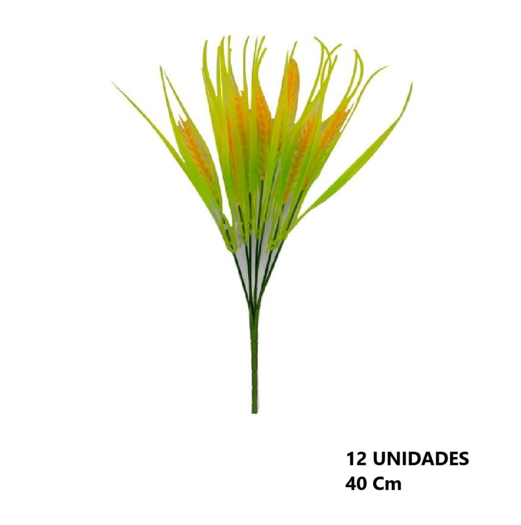 Casa Andes