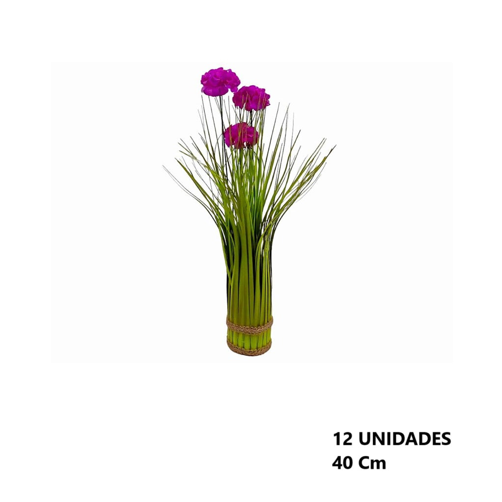 Casa Andes