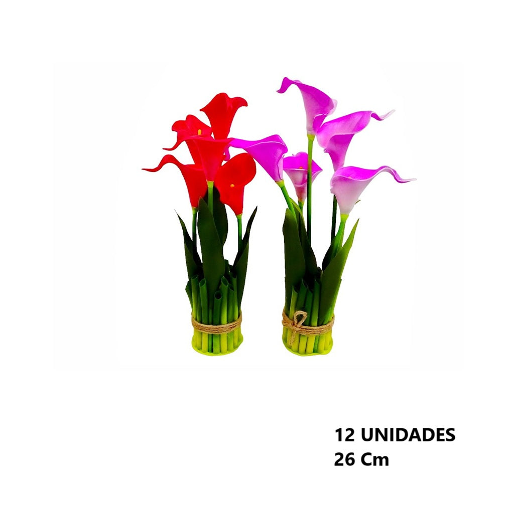 Casa Andes