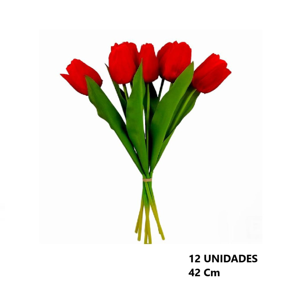 Casa Andes