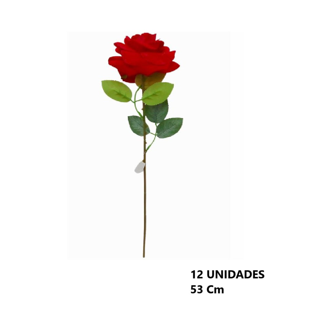 Casa Andes