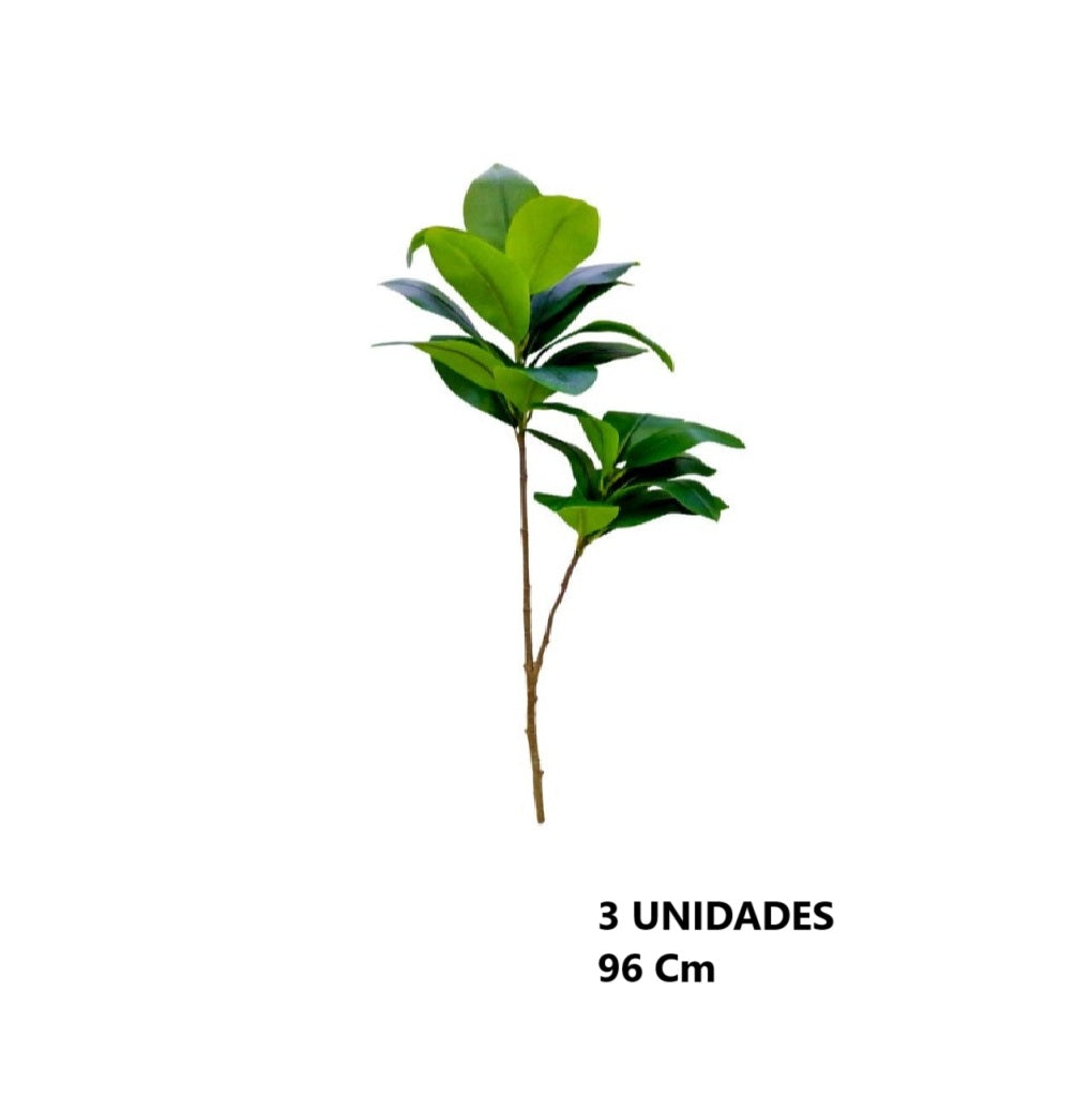 Casa Andes