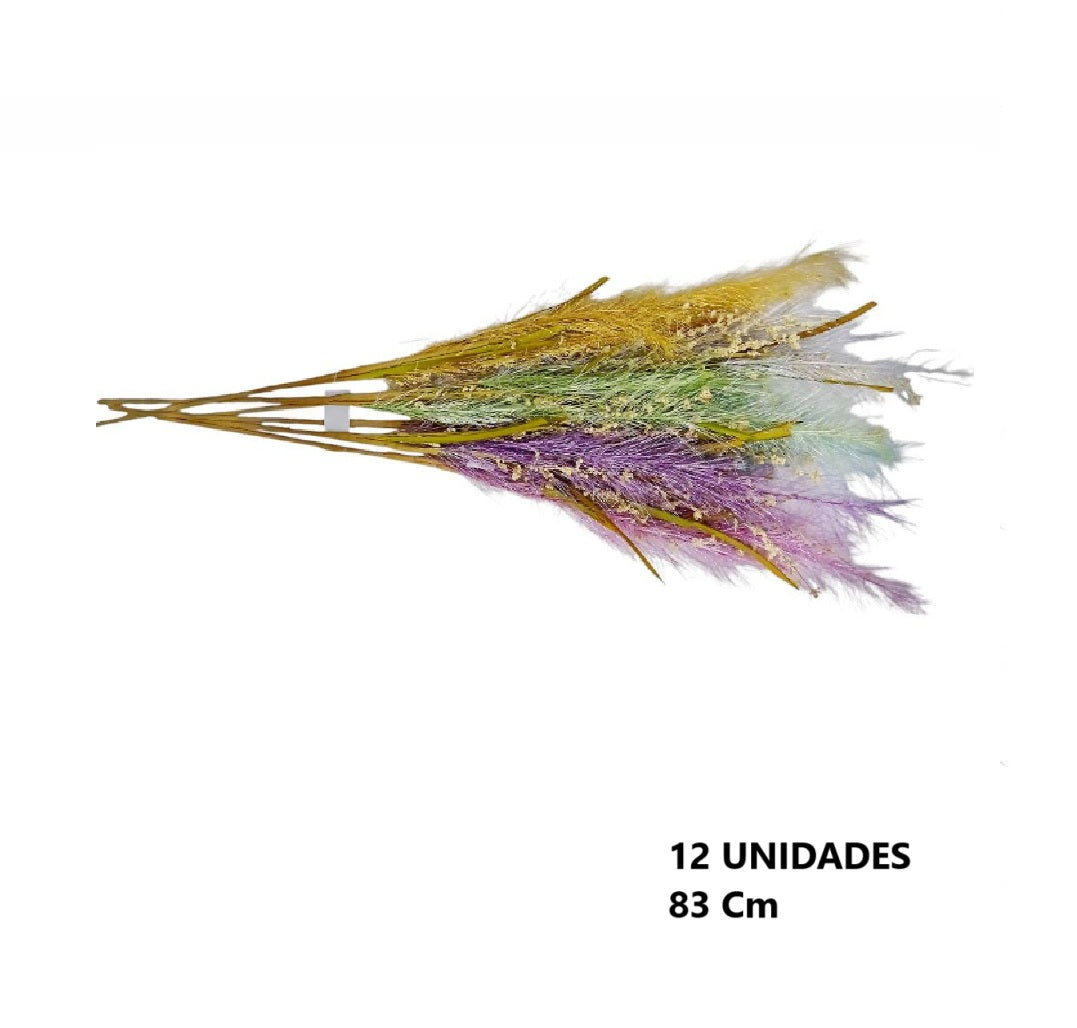 Casa Andes