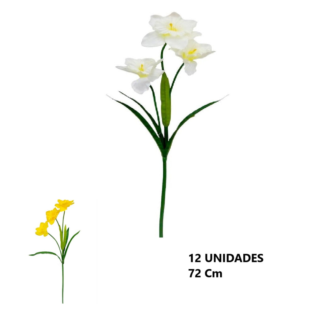 Casa Andes