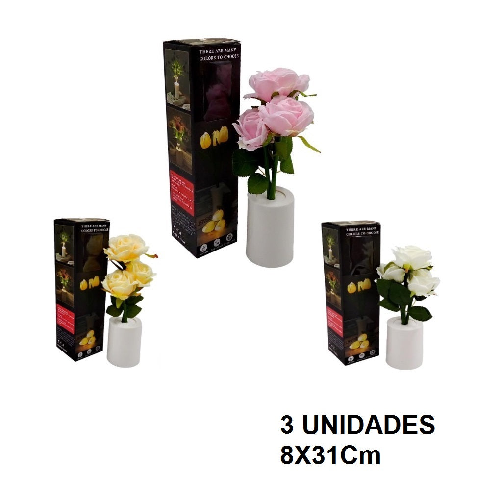 Casa Andes