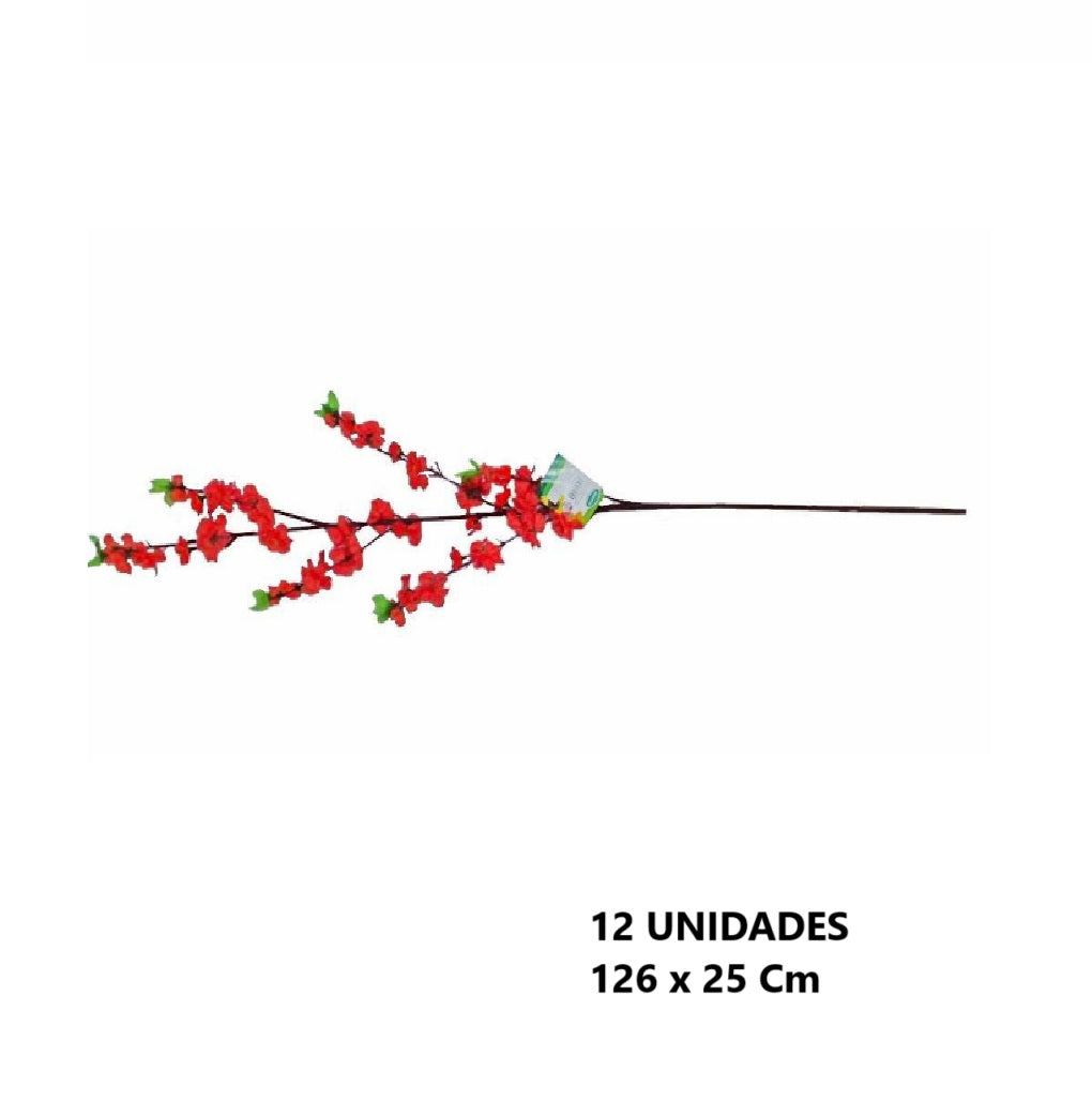 Casa Andes