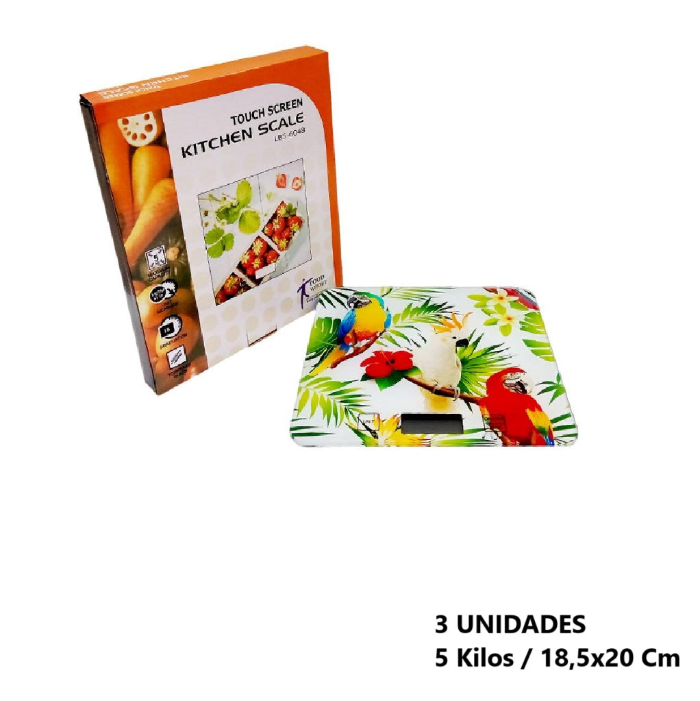 Casa Andes